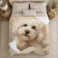 thumbnail image 5 of Fluffy Cream Poodle Portrait in Soft Pet Portrait Style for Dog Lovers, Curly Fur Close Up Scene, Cozy Flannel Blanket for Bedroom and Pet Room, Birthday Gift, Dog Home Decor, 5 of 9