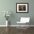 thumbnail image 3 of Trademark Fine Art 'Take me to the Pond' Canvas Art by Michael Blanchette Photography, White Matte, Wood Frame, 3 of 4