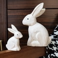 thumbnail image 5 of HCTSHG Rabbit Garden Statue,Outdoor Standing Bunny Sculpture,Lawn and Garden Decor,Easter Standing Bunny Ornament for Home,Living Room,Bedroom,Light Decoration, 5 of 7