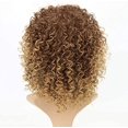 thumbnail image 5 of Peluca de pelo rizado para mujer, peluca afro rizada, fibra sintética resistente al calor mixta de Color marrón y rubio Rojo Verde, 5 of 5