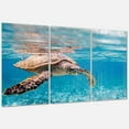 thumbnail image 2 of Designart 'Large Hawksbill Sea Turtle' Metal Wall Art, 2 of 3