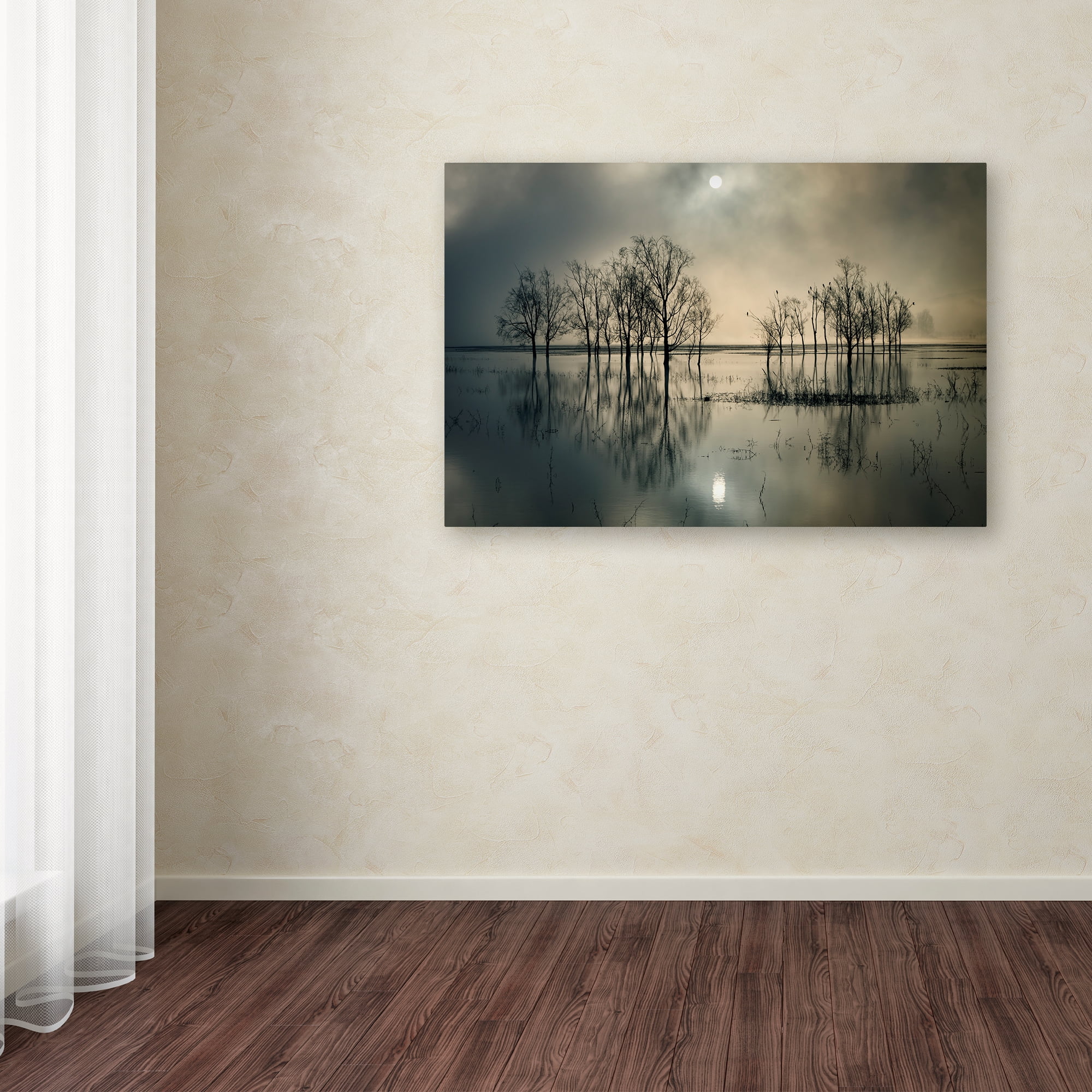Trademark Fine Art 'LakeS Secret' Canvas Art by Joanne_Flj