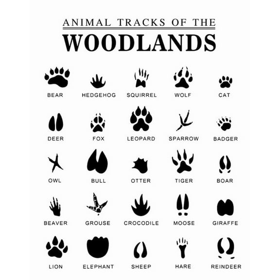 Animal Tracks poster Woodland Animal  Outdoor Adventure Kids Art poster Woodland Nursery Decor, Woodland Nursery, Woodland Art Animal Footprints poster