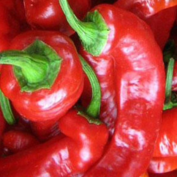 Jimmy Nardello Pepper Seed 250 Mg ~35 Seeds – Capsicum annuum – 80–90 Days – Sweet Italian Frying Pepper – Heirloom, Non-GMO, Open-Pollinated – Mild Heat – Garden or Greenhouse Use
