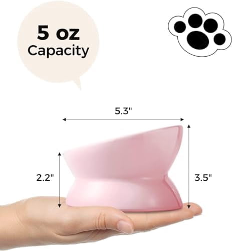 Elevated Cat Food Bowl, 5 Oz Ceramic Raised and Tilted Water Bowl, Anti Vomiting and Protect Pets' Spines Dishes for Small Dog, Fat Faced Cat, Kitten (Pink, 2 Pack)