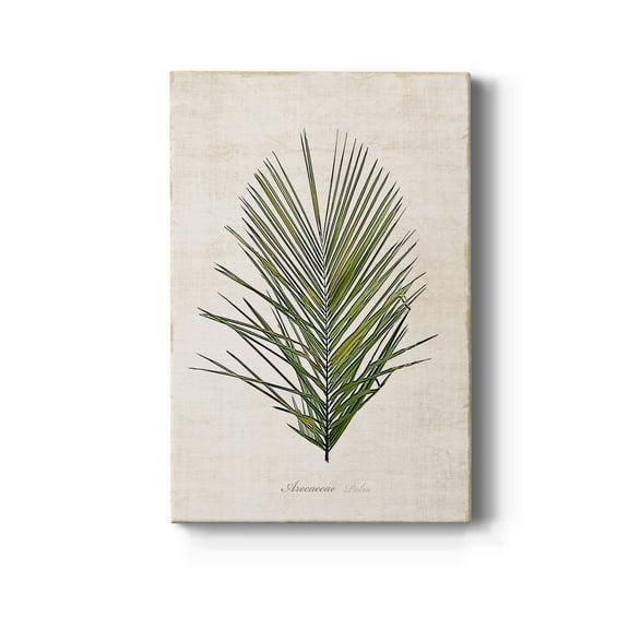 Palm Botanical I Premium Gallery Wrapped Canvas - Ready to Hang - 8 x 12