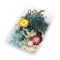 thumbnail image 1 of simhoa Real Dried Flower Pressed Leaves DIY For Epoxy Resin Jewelry Making 6, 1 of 8