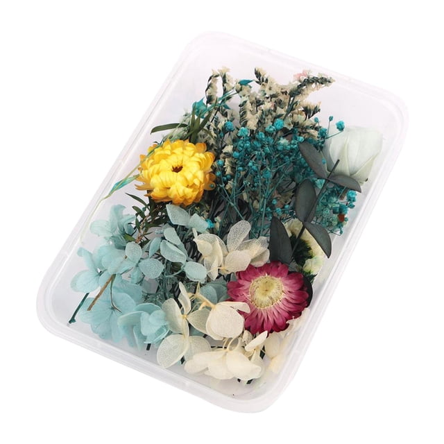 simhoa Real Dried Flower Pressed Leaves DIY For Epoxy Resin Jewelry Making 6