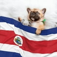 thumbnail image 2 of Dog Blanket Flag Of Costa Rica Soft Dog Blankets for Small Medium Dogs Pet Cat Puppy Blanket Mat Cover, 2 of 7