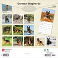 thumbnail image 2 of German Shepherds | 2026 12x24" (Hanging) Square Wall Calendar | Plastic-Free, 2 of 9