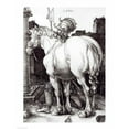 thumbnail image 2 of Posterazzi BALXJF275608 The Large Horse 1509 Poster Print by Albrecht Durer - 18 x 24 in., 2 of 4