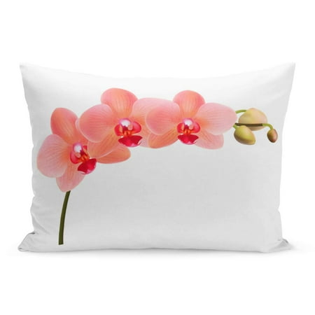 - ECCOT Abstract Beautiful Tropical Branch of Peach Pink Orchid Phalaenopsis Pillowcase Pillow Cover Cushion Case 20x30 inch