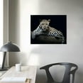 thumbnail image 3 of Nawypu  Leopard Wall Art for Bedroom Living Room Black and White Leopard Canvas Wall Art for Home Office, 3 of 4