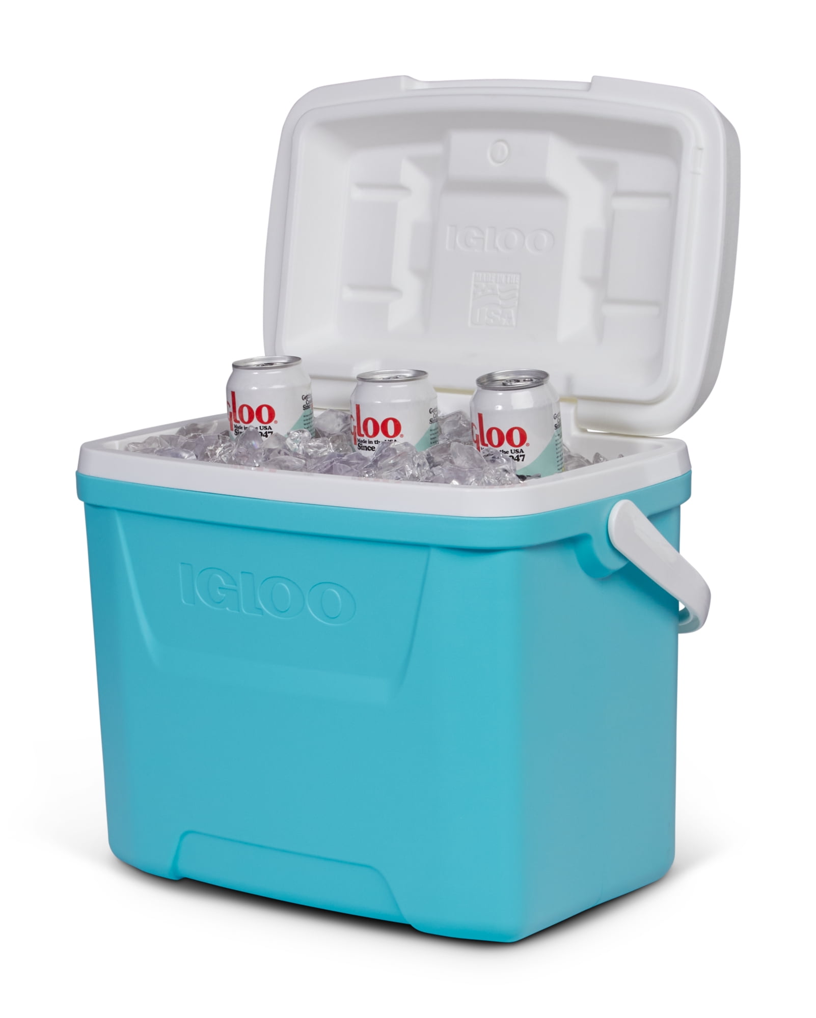 Igloo Medium Ice Block – BevMo!