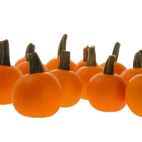 Half Pint Pumpkin Seeds for Planting (10 Seeds) - Perfect for Painting