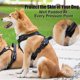 thumbnail image 3 of Wolfi Arnés Ajustable Para Perro Con Chaleco Acolchonado Xl esquí esquí Gafas de esquí, 3 of 5
