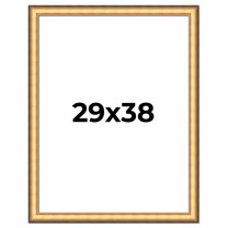 29x38 Frame Gold Plein Aire Solid Wood Picture Frame Width 2 Inches | Interior Frame Depth 0.5