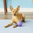 thumbnail image 4 of Jolly Pets Tug-n-Toss Ball with Handle Purple 4.5 inch  Rubber Toy for Dogs, 4 of 7