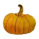 thumbnail image 2 of Fiudx Liquidación de ahorros de verano Muñeco de peluche con forma de almohada de verduras, calabaza, maíz, batata, respaldo para sofá, regalo, 2 of 6