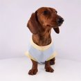 thumbnail image 3 of HQREA Dachshund Dog Clothes Anti-UV Cooling Vest Tank Top with Pocket Stretchy Sleeveless Summer T-Shirt for Mini Dachshund, 3 of 6