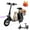 Black, variant on Kunyun 12-inch Electric Scooter - 450W Motor, 20-mile Range, 265-Pound Weight Capacity, Front and Rear Disc Brakes, 36V Lithium Battery, Suitable for Adult Commuting Black