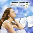 thumbnail image 2 of Air Wick Scented Oil 2 Fresh Linen, Essential Oils, Air Freshener, 2x0.67 oz, 6 Pack, 2 of 4