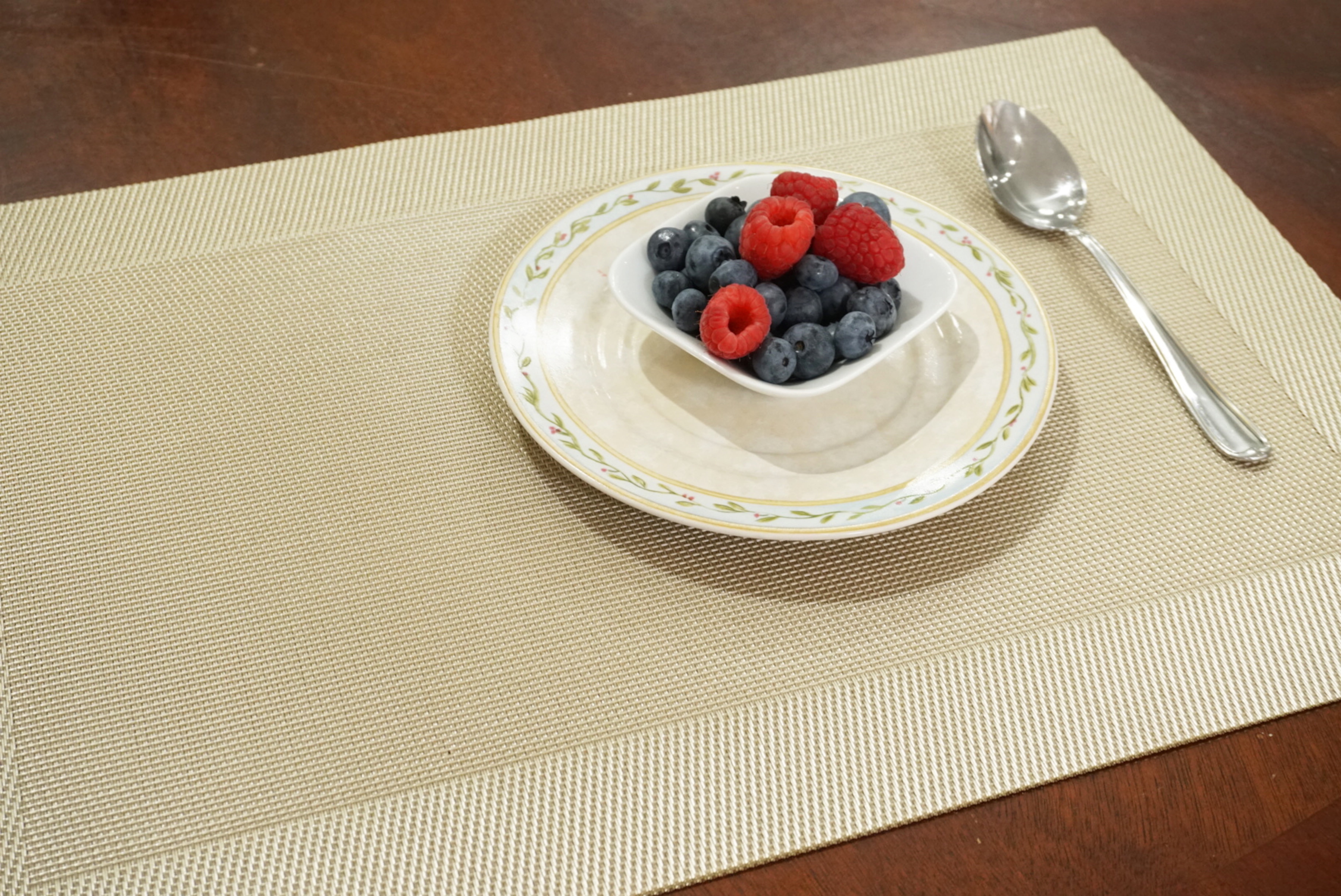 Dainty Home Napa Woven Textilene Crossweave With Solid Geometric Pattern Reversible 12" x 18" Rectangular Placemat Set of 4 in Champagne