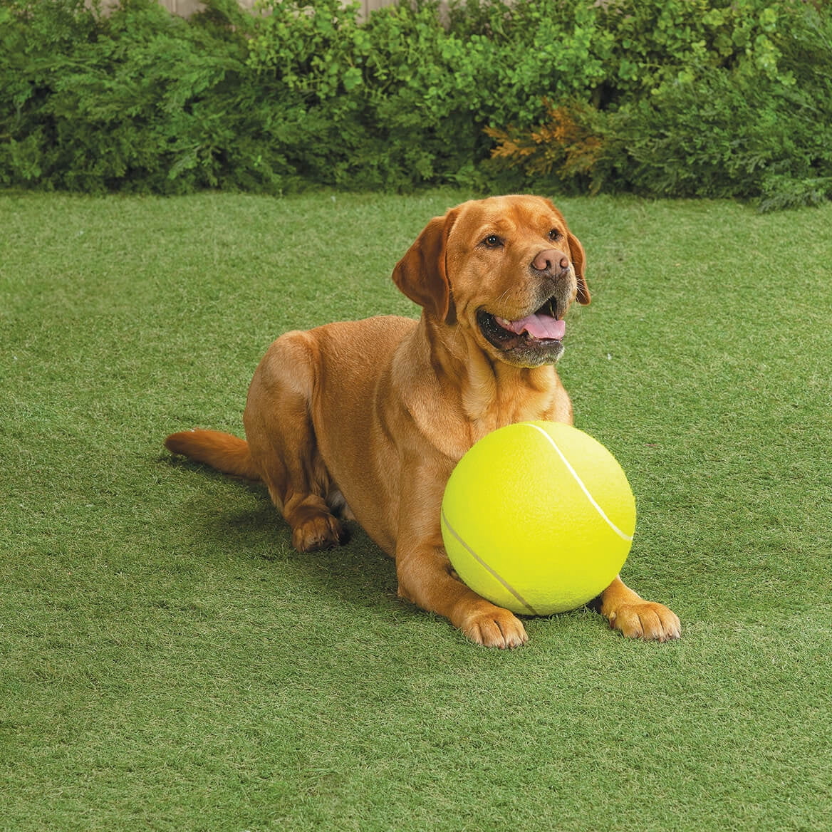 Giant Dog Tennis Ball, 9 1/2"