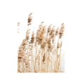 thumbnail image 2 of 1 panel de pintura de , imágenes de paisajes naturales, impresiones en , decoración de imágenes pa el , decoración moderna, de paja Baoblaze arte de la pared de la lona, 2 of 8