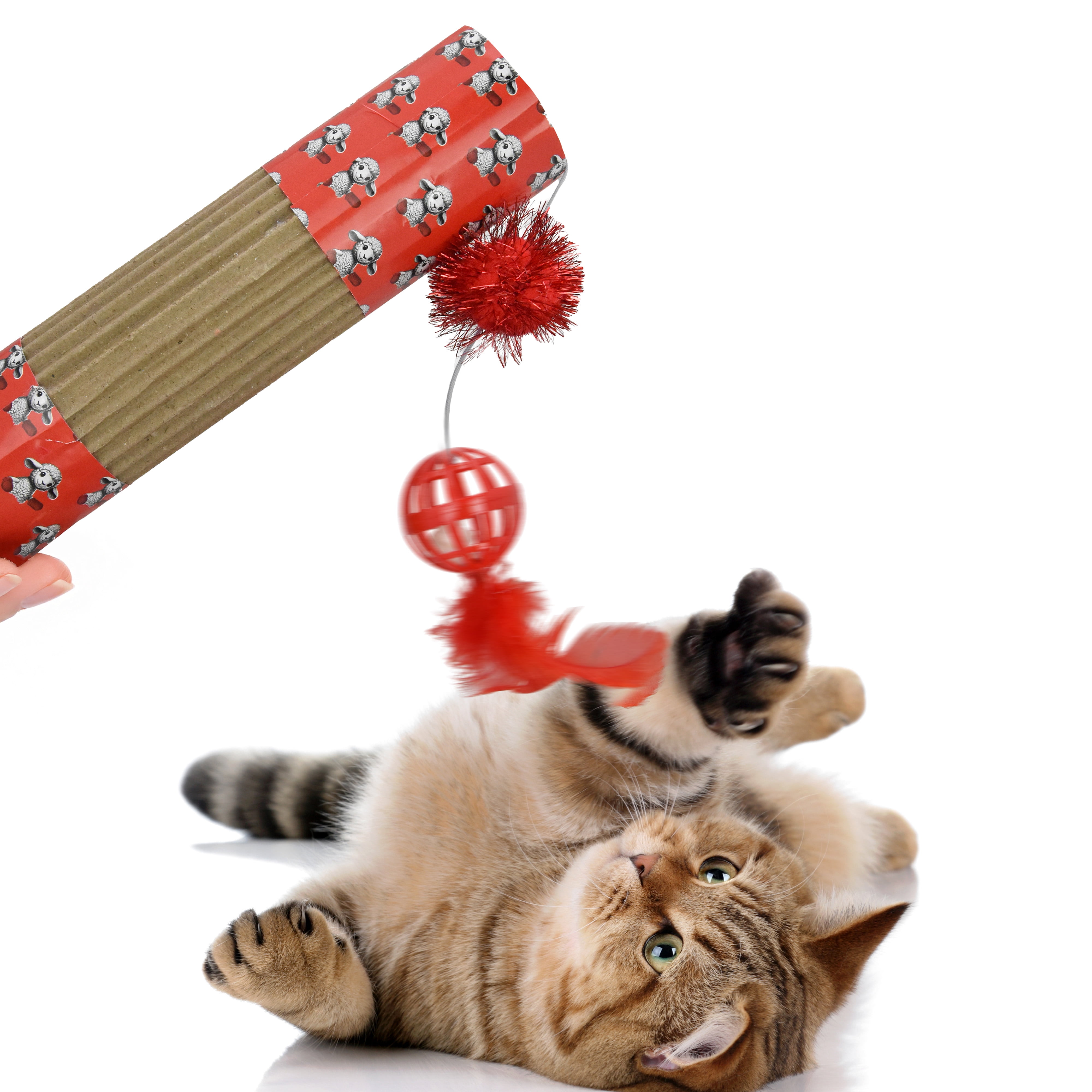 Jouet pour chat en carton imprimé côtelette d'agneau Multipet avec clochette et plumes 485 / 5,000  Impression originale du personnage de Lamb Chop Bruit de cloche pour une stimulation accrue<