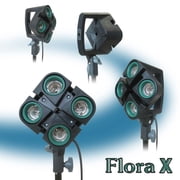 LINCO 2Pack Flora X Photo Studio Lighting Kit Photography Softbox Light-CK463