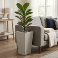 thumbnail image 4 of Ecobo 21.7 inches Eco-Friendly Rectangular Pot Planter, Elemento Indoor/Outdoor use, Durable, Versatile & Lightweight, Designed by Brazilian Artisans, Contemporary All-Weather Design - Gray, 4 of 8