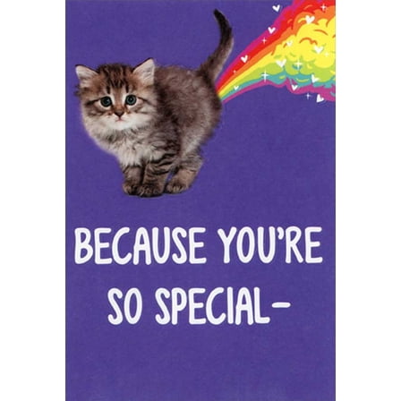 Recycled Paper Greetings Kitten and Rainbow Because You're Special Humorous / Funny Cat Valentine's Day Card