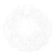 thumbnail image 1 of WEUVEB Collar Falso De Encaje Con Bordado Floral Y Estilo Nube Para Fiestas Y Sesiones Fotográficas, 1 of 7