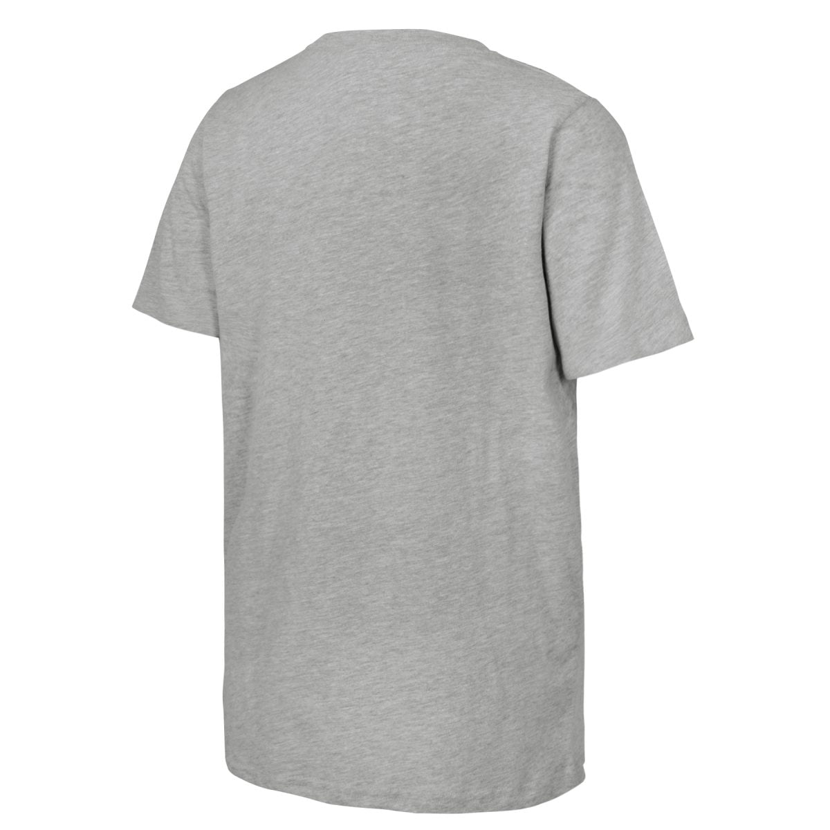 FIFA World Cup 2026 Men's Gray Stripe USA Soccer Graphic Tee