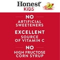 thumbnail image 5 of (10 pack) Honest Kids Organic Super Fruit Punch Juice, 6 fl oz, 8 Juice Boxes, 5 of 16