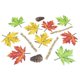 thumbnail image 3 of Junior Learning JL655 Pegatinas para senderos naturales, multicolor, 3 of 3
