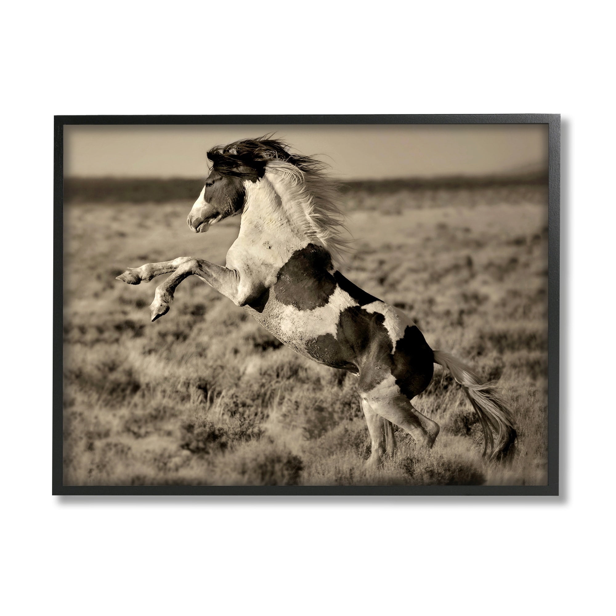 Stupell Industries Rearing Spotted Horse Rural Countryside Field Photography Photograph Black Framed Art Print Wall Art, Design by Lisa Dearing