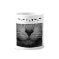 thumbnail image 1 of Animal Gato fotografía dispara la foto Taza de cepillo de dientes, 1 of 3