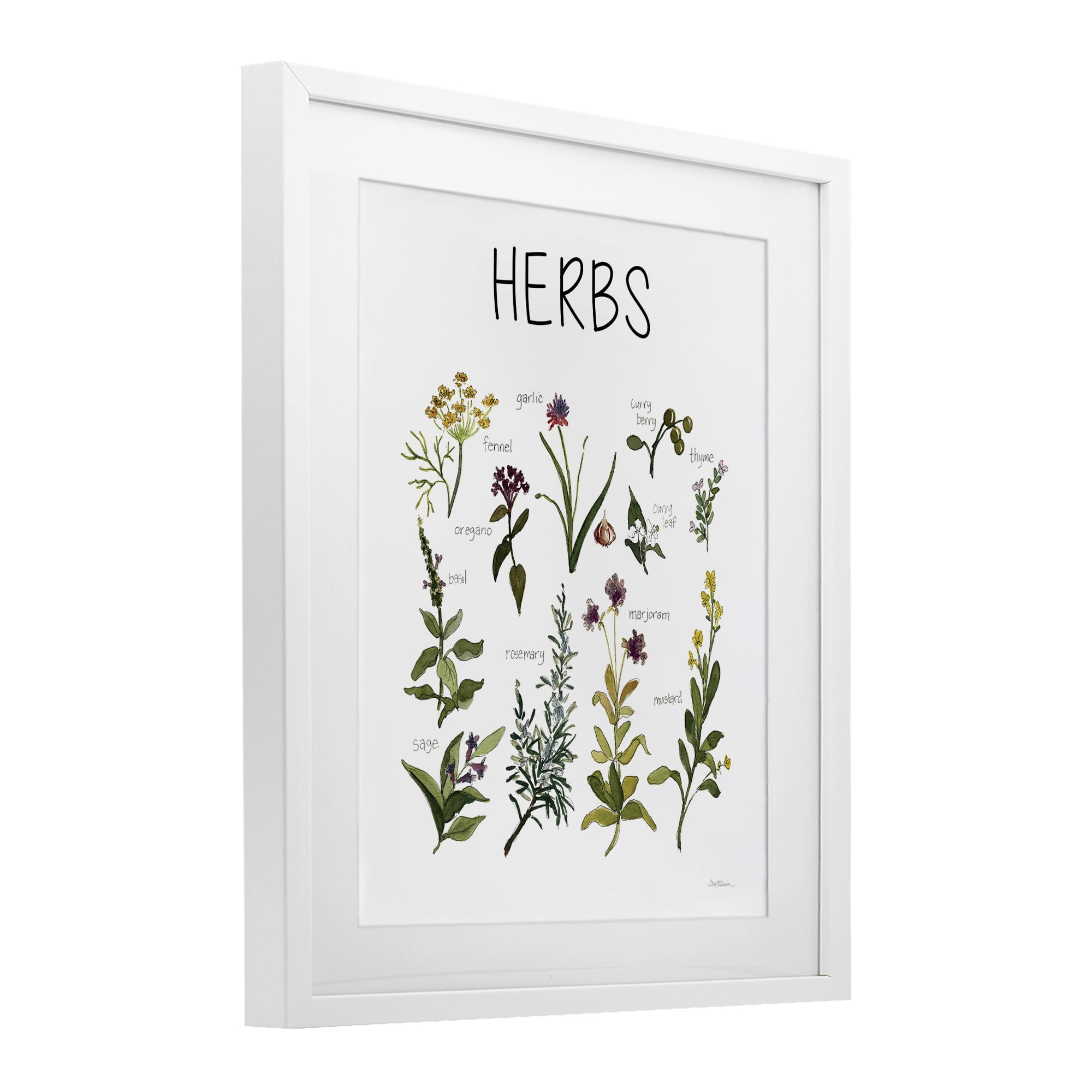 Stupell Industries Herbs Identification Chart White Framed Print Under Glass, design by Carol Robinson