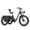 Green, variant on MAXFOOT MF30 Electric Tricycle for Adults, 750W Rear Drive Motor 3 Wheel Electric Bicycle with Suspension Fork, 85 Miles, 48V 20Ah UL Certified Battery, Fat Tire Electric Trike with Rear Differential