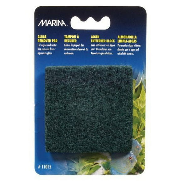 Marina Algae Scrubber