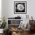 thumbnail image 4 of Art.com Sweet Rose II Photo by Nicole Katano, Brown Frame Wall Art, 38" x 38", 4 of 5