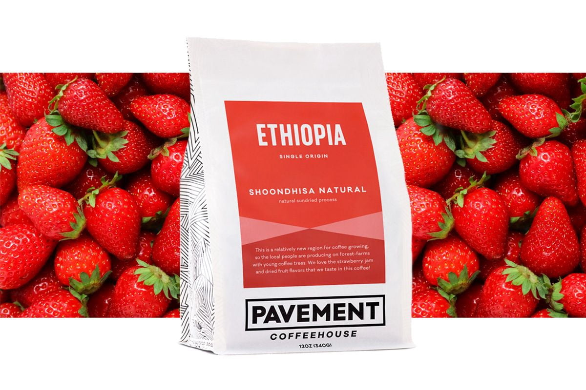 Shoondhisa Natural - Guji, Ethiopia - Roasted by Pavement Coffeehouse - Whole Bean Coffee - 2lb Bag