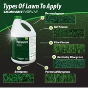 ENDURANT FW Concentrated Turf and Grass Colorant – 1 Gallon Jug