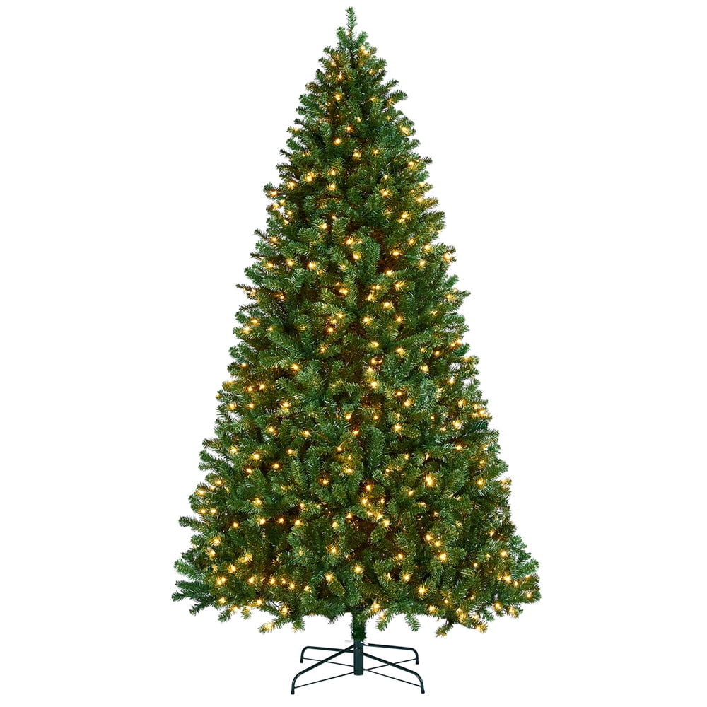 Grand Fir Christmas Tree 2021