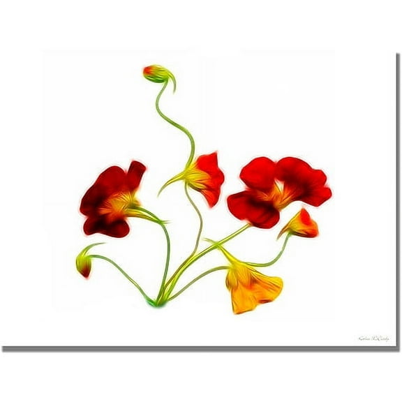 Trademark Art "Orange and Yellow Nasturtiums" Canvas Art by Kathie McCurdy
