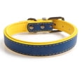 thumbnail image 1 of Collar para perro de cuero acolchado con cinta metálica y no metálica audaz, 1 of 5