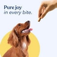 thumbnail image 5 of Honest Paws All-Natural Jerky Dog Treats, Chicken Jerky Sticks, Chicken Flavor, 5 of 10