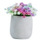 thumbnail image 1 of Flores artificiales de gypsophila, pequeñas plantas falsas, realistas, decorativas, artificiales. Vistoso, 1 of 9